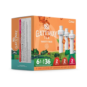 Gateway Tea® 6-Pack Variety Pack - Bright Touch - Home Daily Start